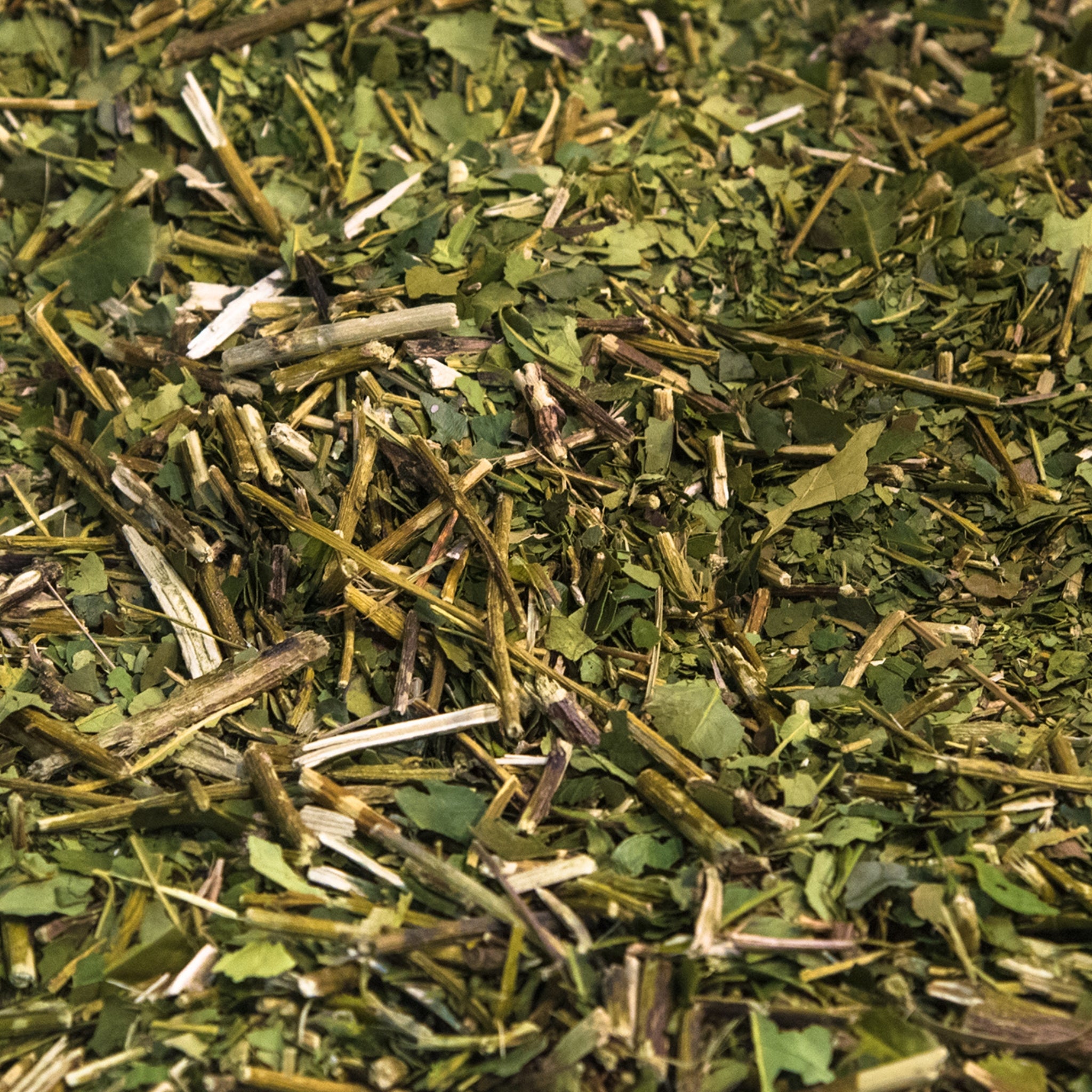 Maté